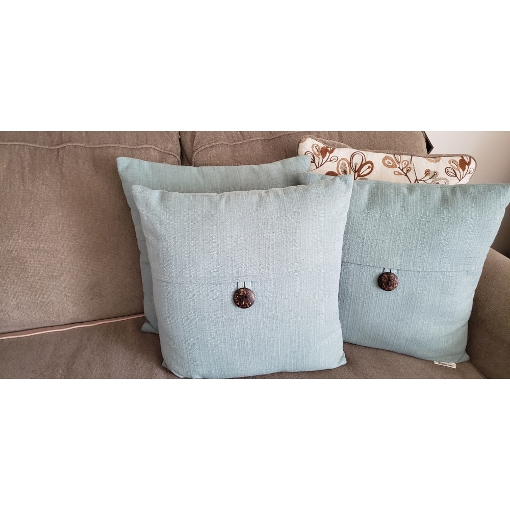Light blue throw pillows (I have three)